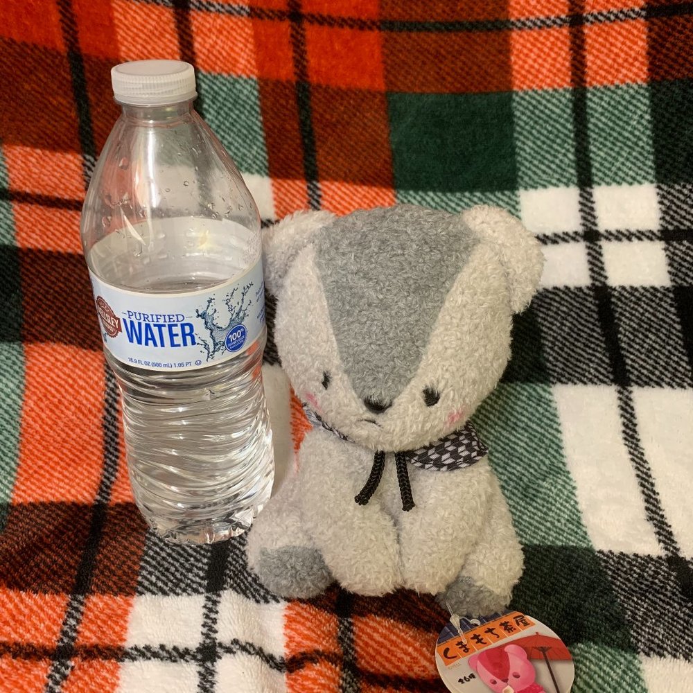 Kawaii Grey Bear Plushie